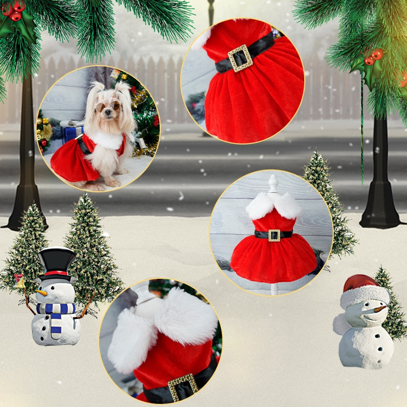 Christmas Dog Dresses For Small Dogs Clothes Summer Christmas Cosplay Cat Pet Dress Fancy Princess Puppy Dress Bichon Spitz