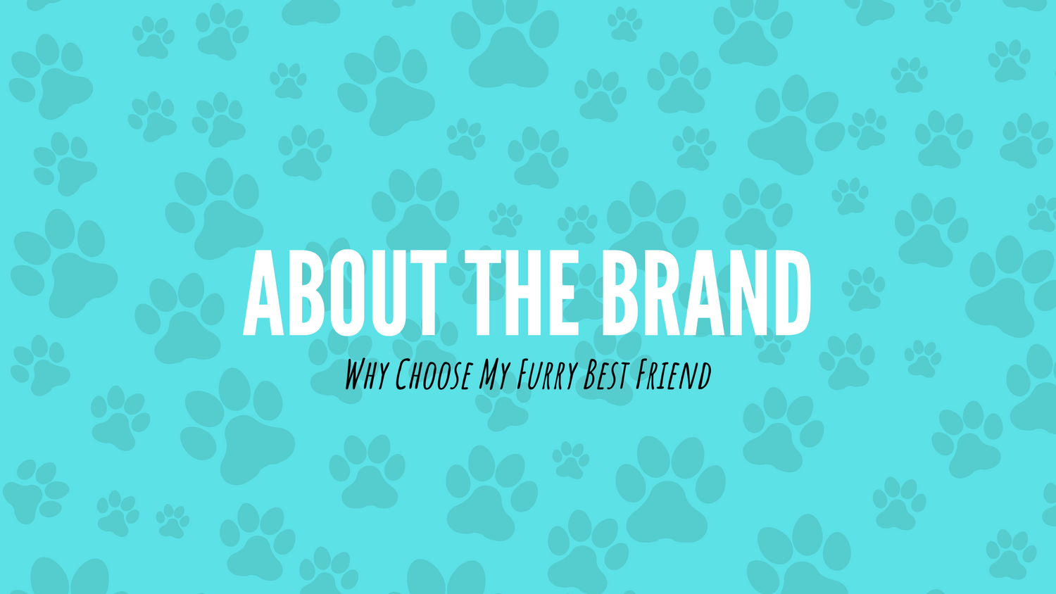 my furry best friend about the brand website banner