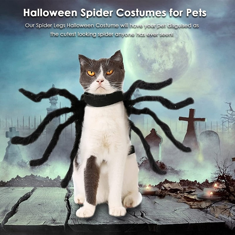 Halloween Pet Spider Clothes Simulation Black Spider Puppy Cosplay Costume For Dogs Cats Party Cosplay Funny Outfit Dropshipping